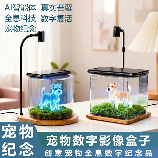 Custom Pet Holographic Crystal Light – Forever in Your Heart